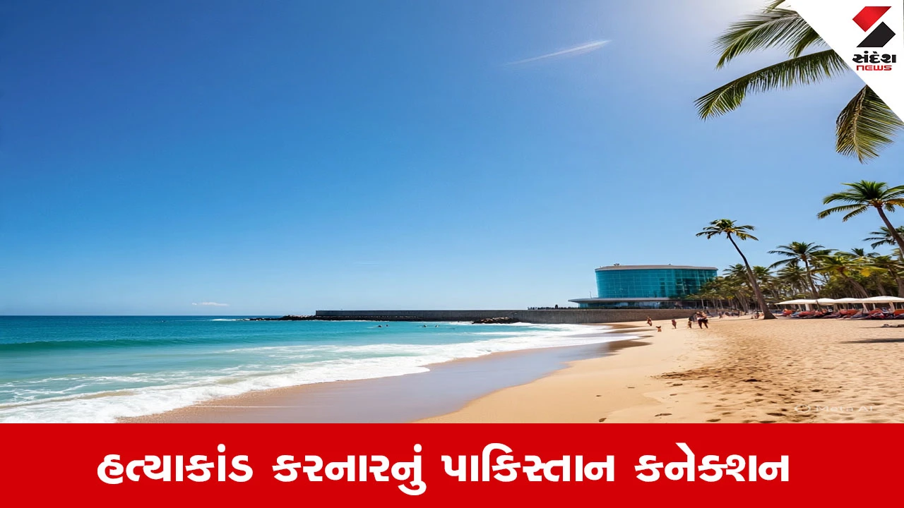 સિડની બોન્ડી બીચ શૂટિંગ: સિડની હત્યાકાંડ કરનારનું Pakistan કનેક્શન ખુલ્યું, જેમાં આતંકવાદીઓએ અંધાધૂંધ ગોળીબાર કર્યો.