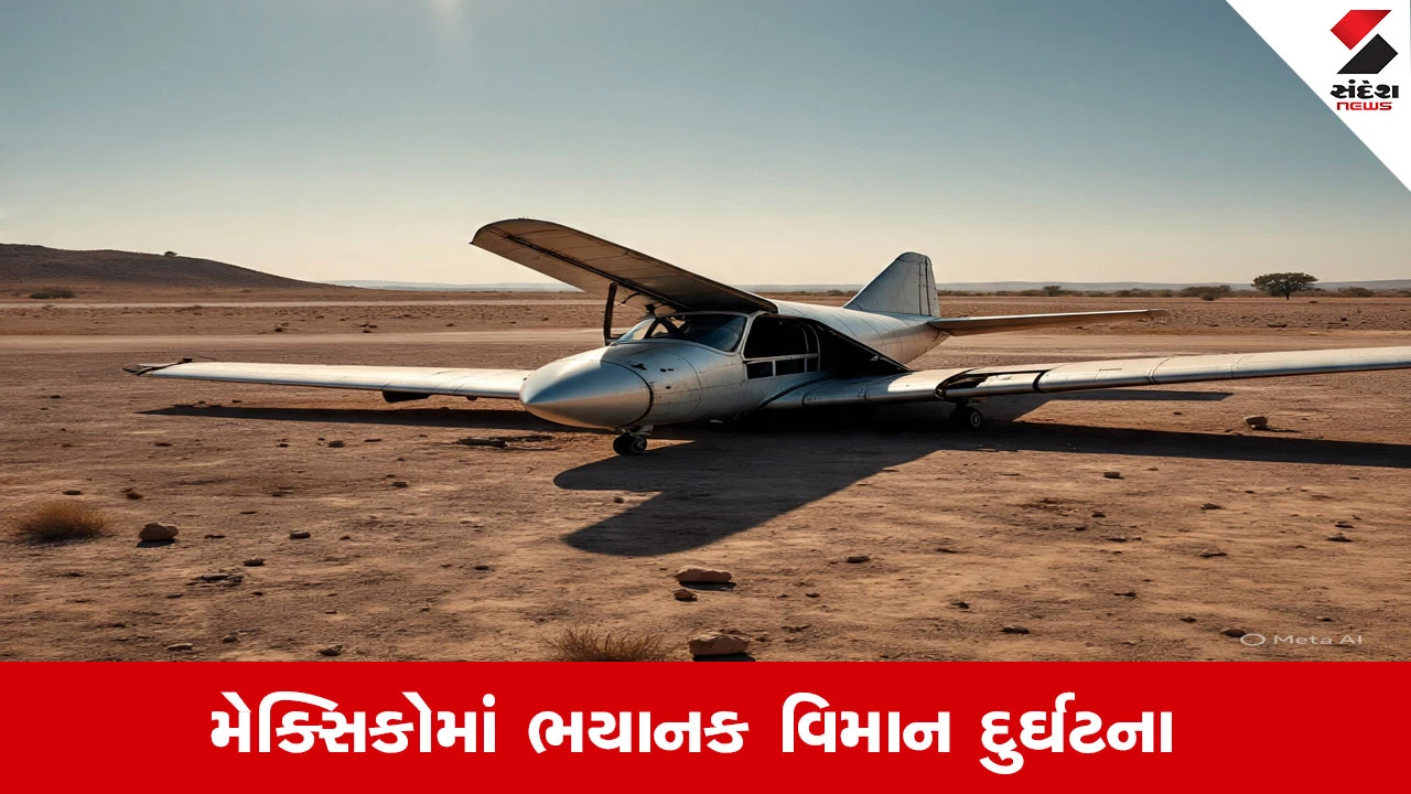 Mexicoમાં પ્લેન ક્રેશ: ઇમરજન્સી લેન્ડિંગ વખતે ખાનગી જેટ ઇમારત સાથે અથડાયું, 7 લોકોના મોત.