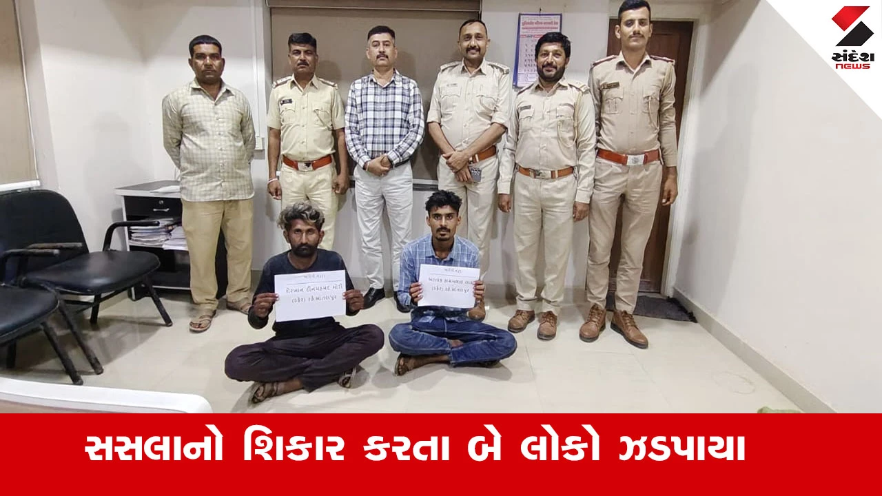 જૂનાગઢ વંથલી નજીક શિકાર કરતા 2 ઝડપાયા; સસલું મળ્યું, વન વિભાગે ભાંડો ફોડ્યો.