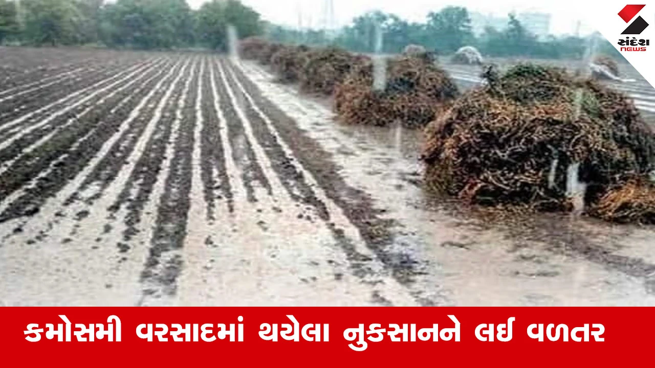 ગુજરાતમાં કમોસમી વરસાદથી નુકસાન થતાં ખેડૂતોને રાજ્ય સરકાર દ્વારા 6805 કરોડથી વધુની સહાય ચૂકવાઈ.