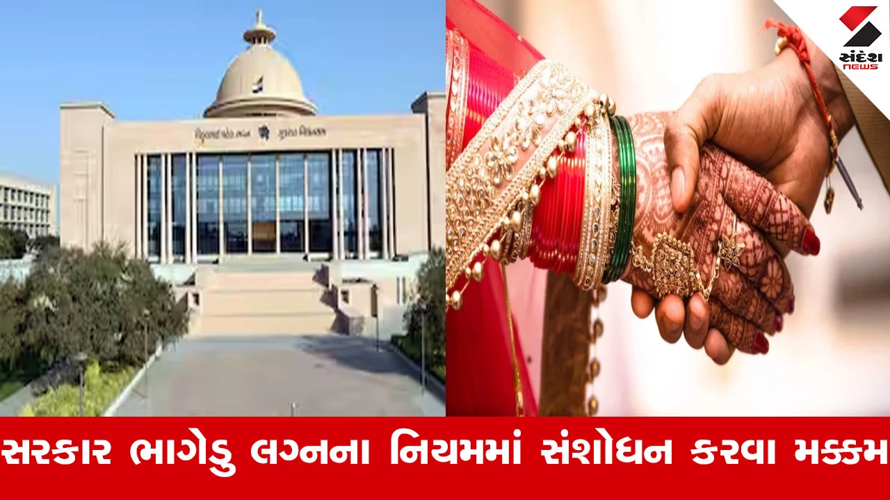 ભાગેડું લગ્ન મુદ્દે કેબિનેટ બેઠકમાં ચર્ચા બાદ નિર્ણય નહિ, નિયમોમાં હજુ સંશોધન થશે.