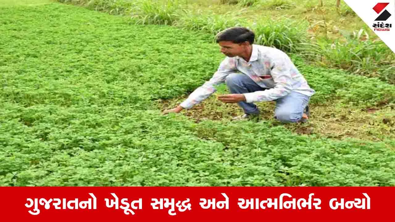 Gandhinagar News:  રાજ્ય સરકાર દ્વારા 27 લાખથી વધુ ખેડૂતોને પ્રાકૃતિક ખેતીની તાલીમ અપાઈ, ખેડૂતને દિવસે વીજળી મળી
