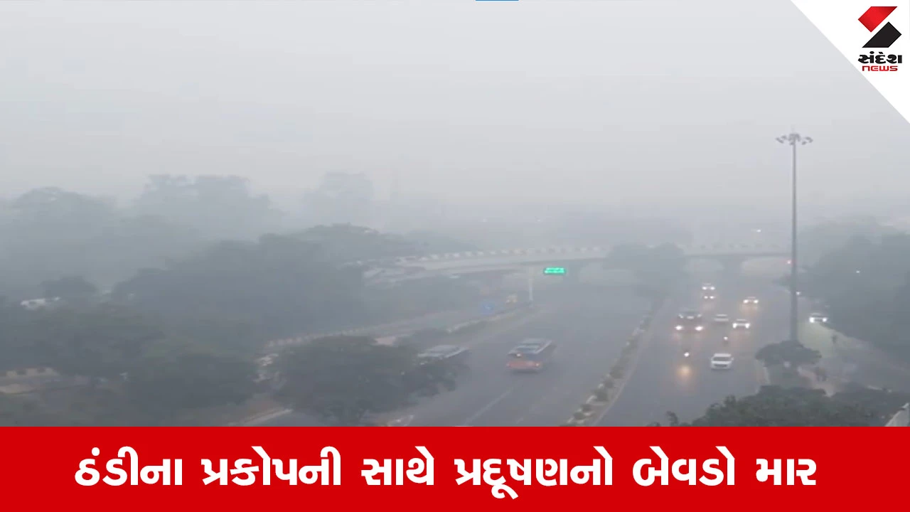 દિલ્હીમાં હાજા ગગડાવતી ઠંડી અને પ્રદૂષણનો માર: હવામાન વિભાગનું યેલો એલર્ટ જાહેર.