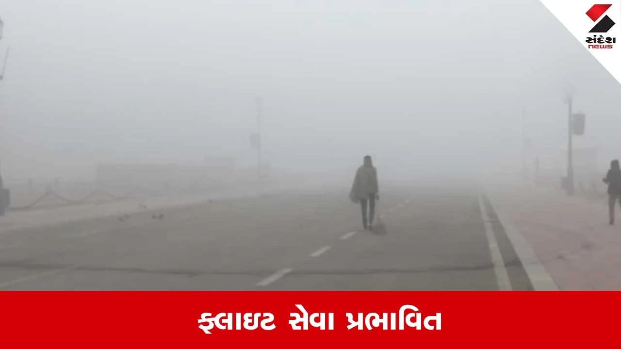 પ્લેનમાં મુસાફરી કરતા પહેલાં IGI એરપોર્ટની એડવાઇઝરી તપાસો.