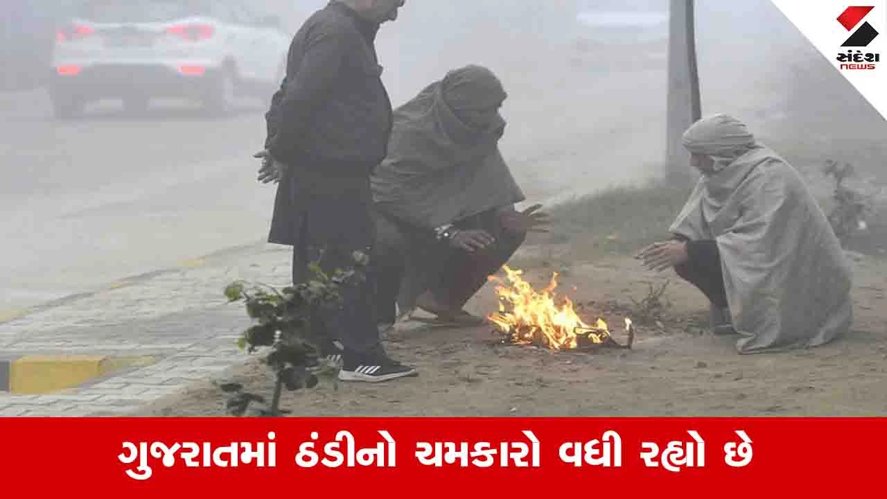 રાજ્યમાં નલિયા સૌથી ઠંડુ શહેર; આગામી 48 કલાક બાદ ઠંડી વધવાની આગાહી.