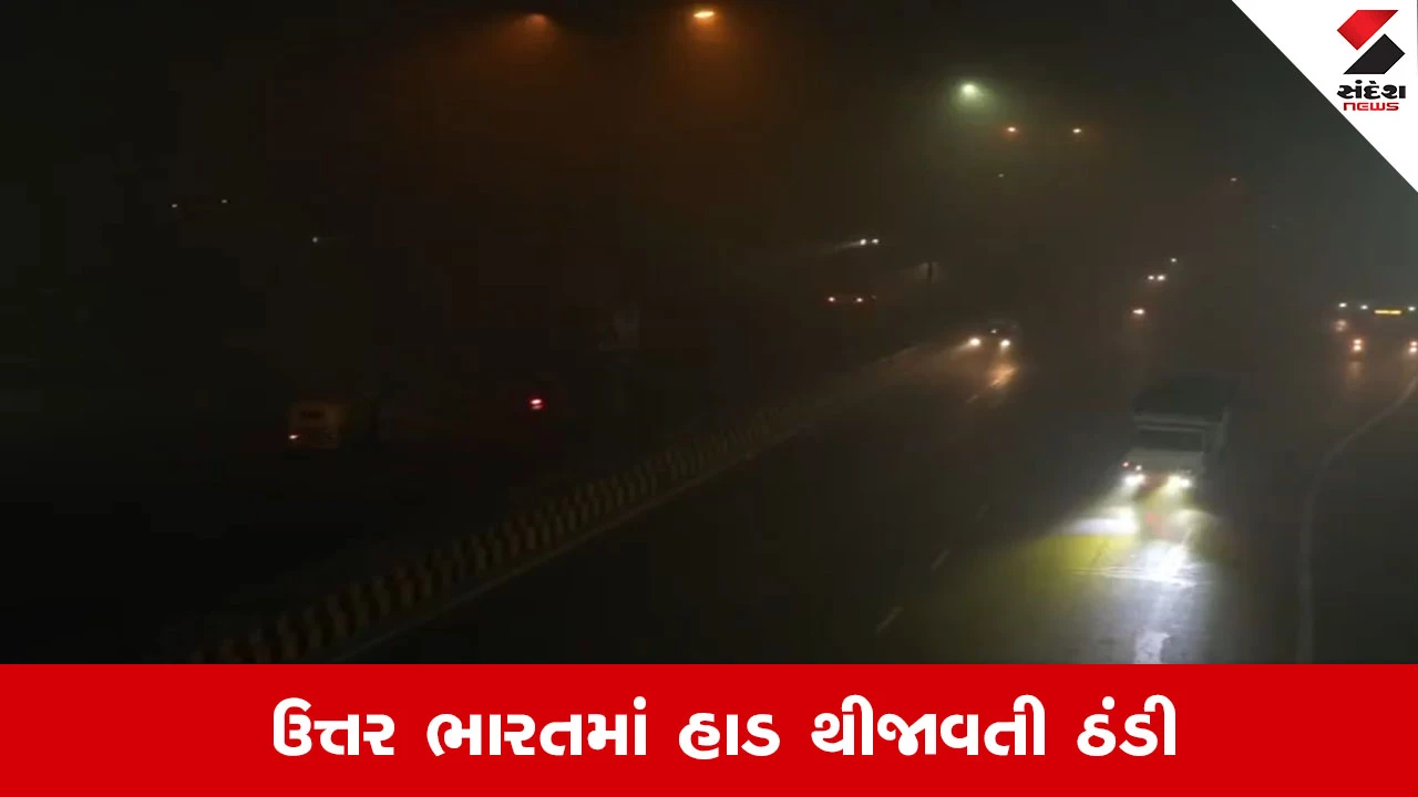 દિલ્હીમાં ધુમ્મસ અને ઉત્તર ભારતમાં હાડ થીજાવતી ઠંડી, IMDએ યલો એલર્ટ જાહેર કર્યું.