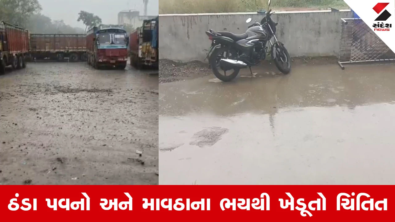 Navsari માં કુદરતનો મિજાજ બદલાયો, વાદળછાયા વાતાવરણ વચ્ચે અનેક વિસ્તારોમાં વરસાદી છાંટા 