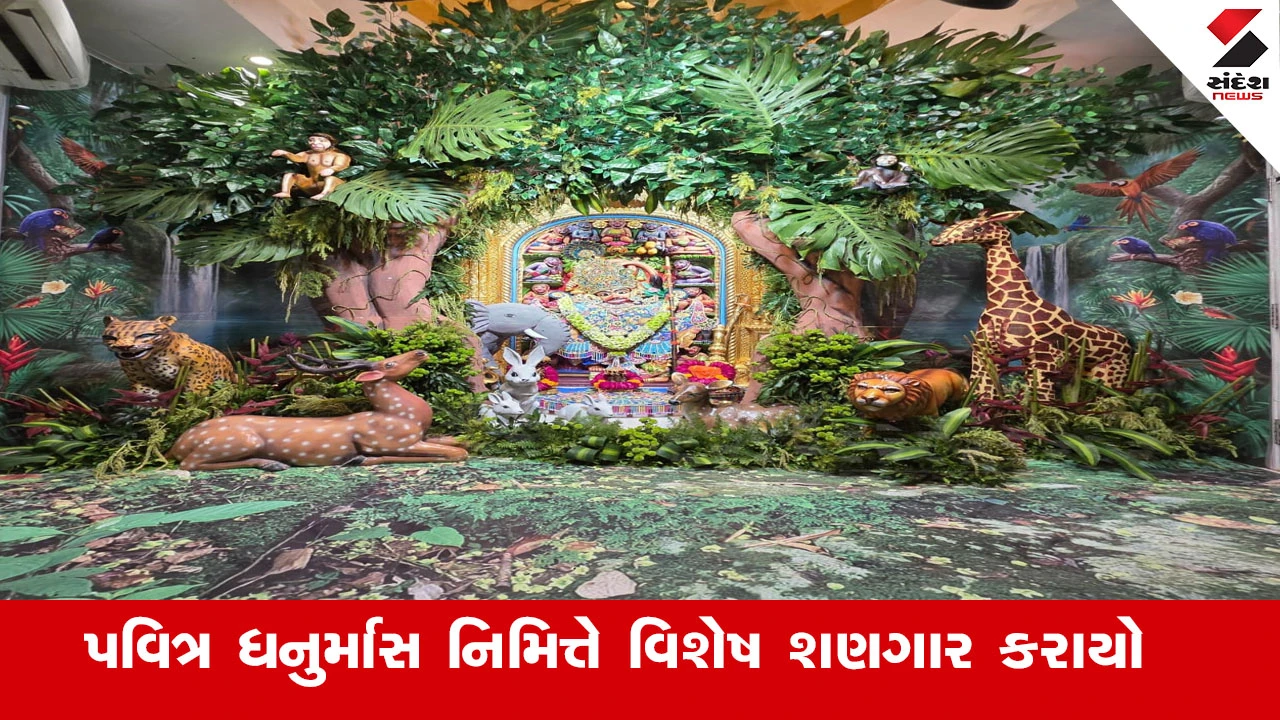 સાળંગપુર વિશેષ શણગાર