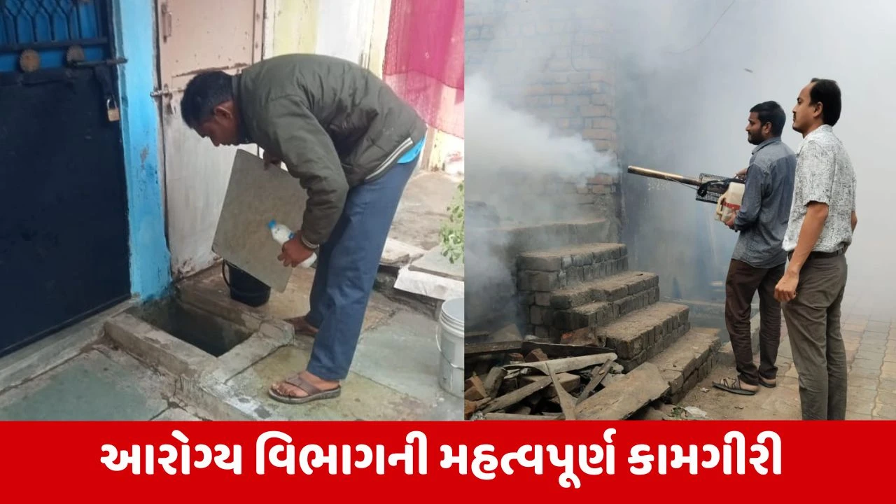 Anand : જિલ્લામાં રોગચાળા પર પ્રશાસનનો 'માસ્ટર સ્ટ્રોક', ડેન્ગ્યુના કેસોમાં 50 ટકા જેટલો ઘટાડો 