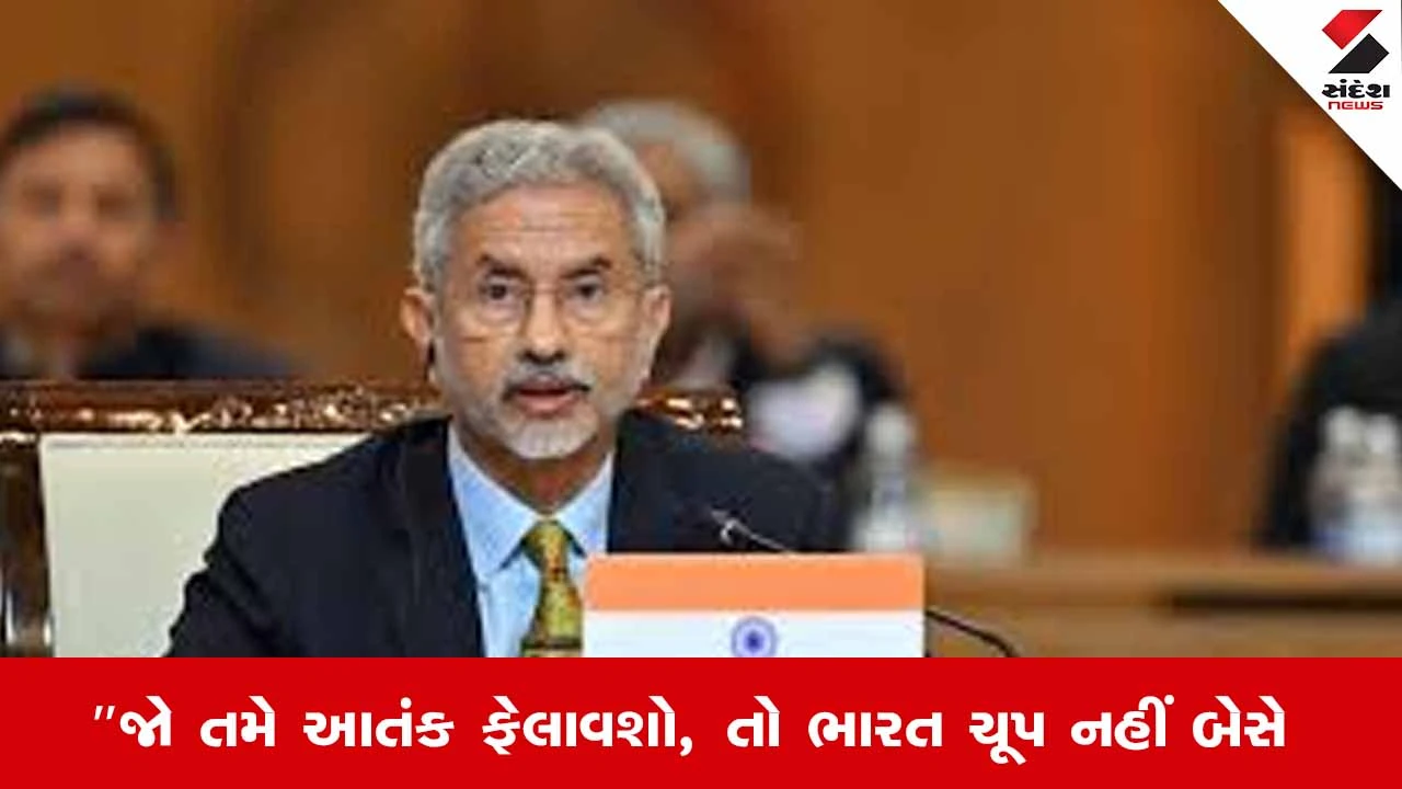India : 'જો તમે આતંક ફેલાવશો, તો ભારત ચૂપ નહીં બેસે', જયશંકરનો પાકિસ્તાન પર આકરો પ્રહાર 