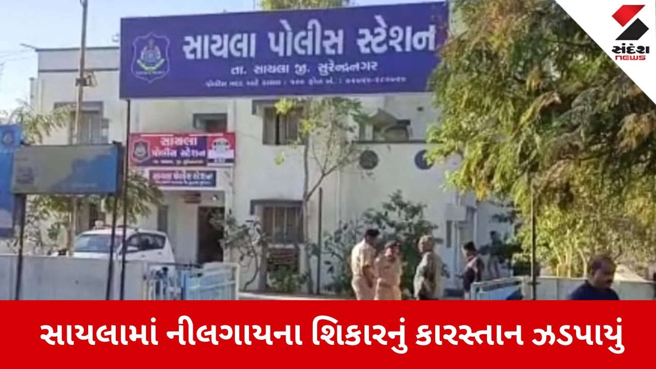 Surendranagar: સાયલામાં નીલગાયનો શિકાર કરી માંસ વેચવાનું કૌભાંડ ઝડપાયું, ફોરેસ્ટ વિભાગે બે કસાઈઓને દબોચ્યા 