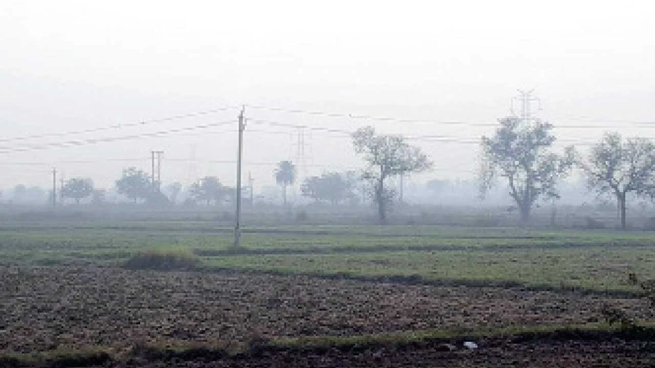 Vadodara:નવા વર્ષના પ્રારંભે જ ગાઢ ધુમ્મસની લપેટમાં ડભોઇ પંથક 