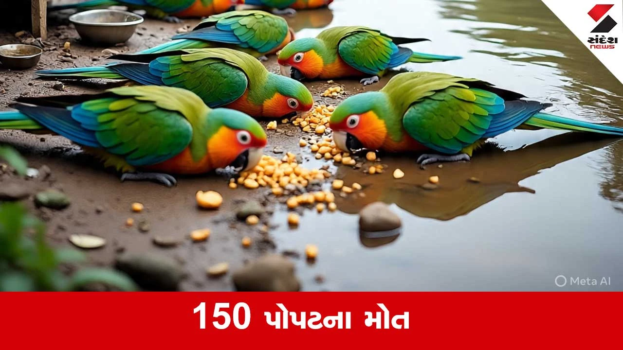 MP Parrot Death: ખરગોનમાં 72 કલાકમાં 150 પોપટના મોત, વનવિભાગ થયુ દોડતું 