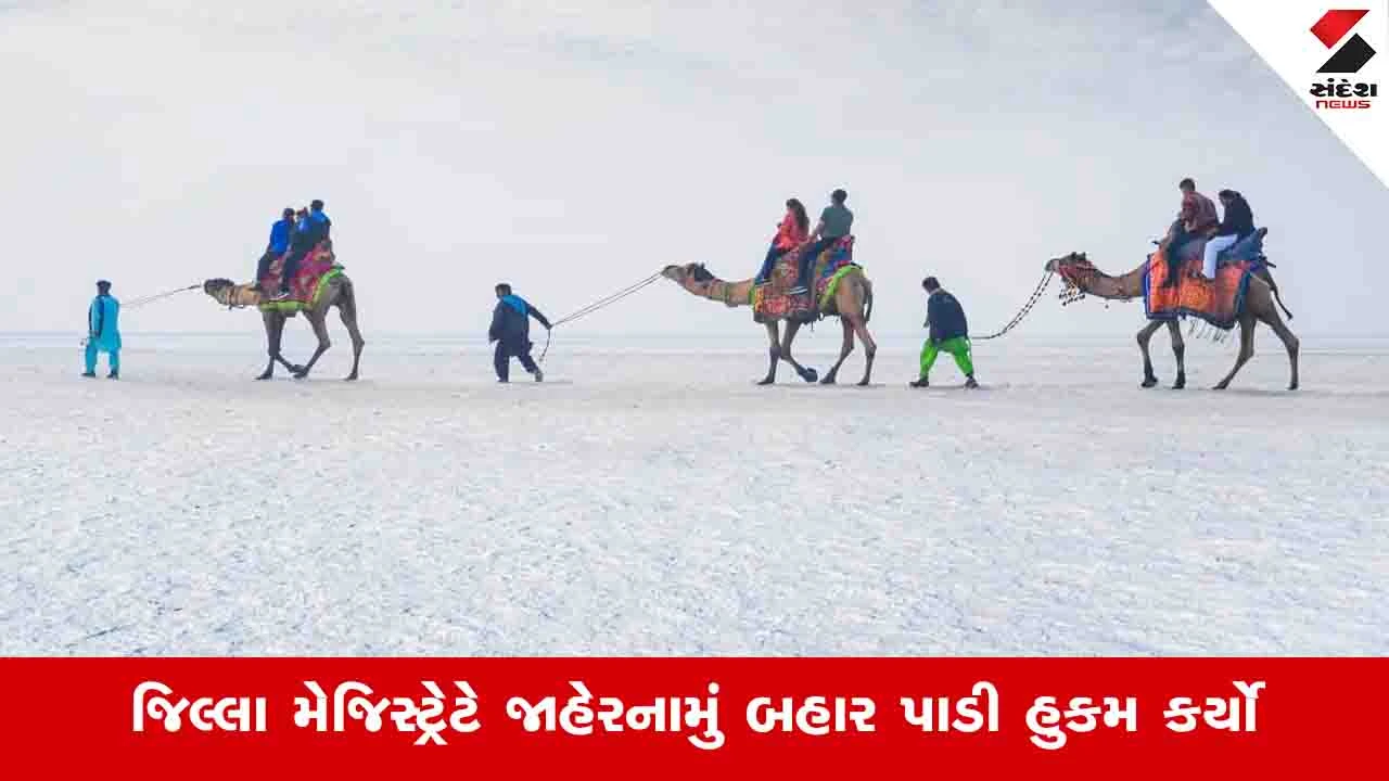 Kachchh News: ધોરડોમાં રજિસ્ટ્રેશન વિનાની ઘોડા અને ઊંટની સવારી પર પ્રતિબંધ 