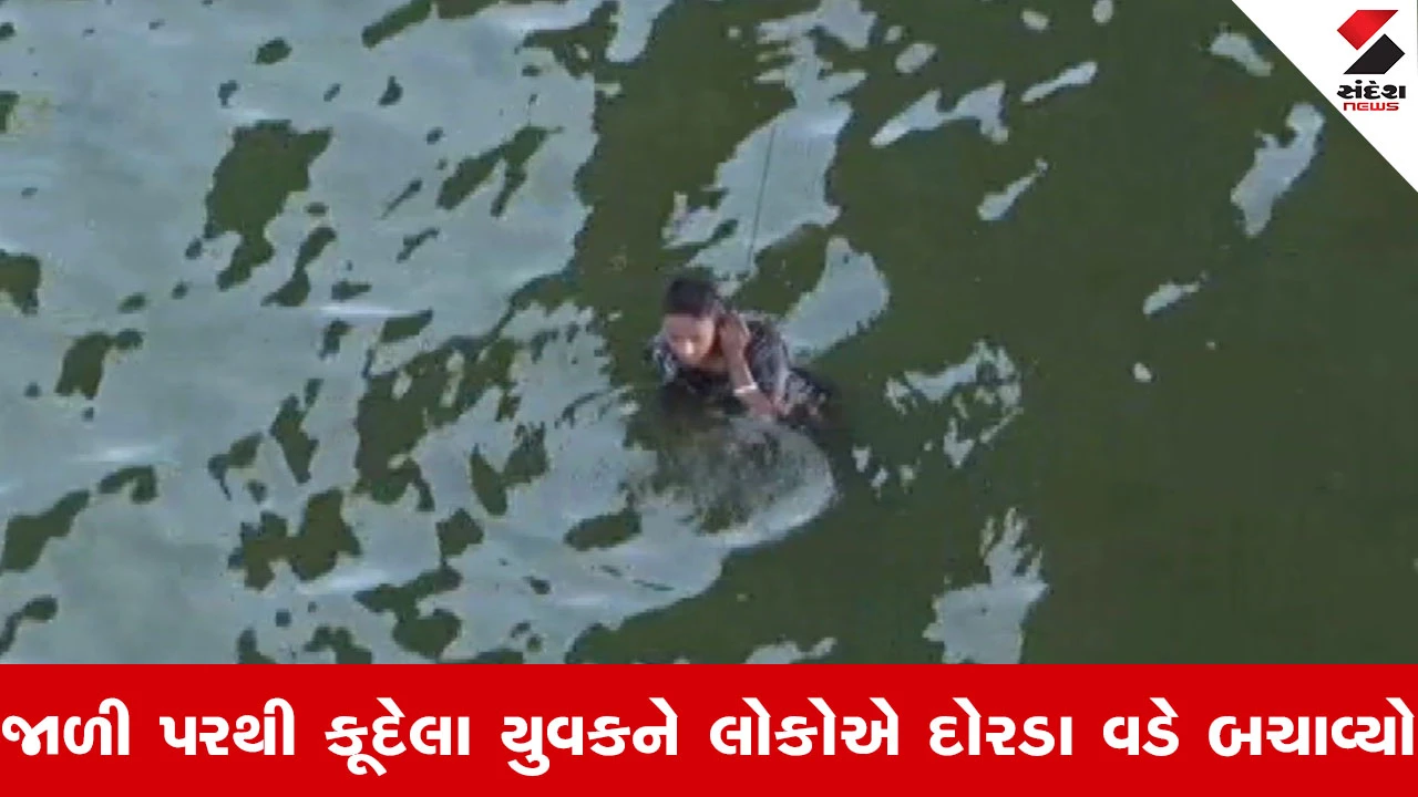Ahmedabad News : વાડજ બ્રિજ પર આત્મહત્યાનો નિષ્ફળ પ્રયાસ, જાળી કૂદીને નીચે પડેલા યુવકનું દિલધડક રેસ્ક્યુ 