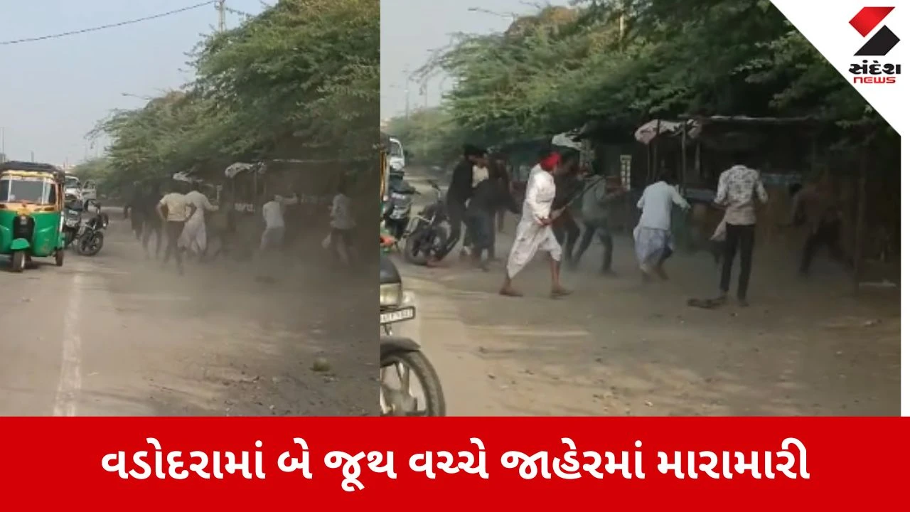 Vadodara: સોમા તળાવ વિસ્તારમાં બે જૂથો વચ્ચે મારામારી, કાયદો અને વ્યવસ્થાના ધજાગરા 