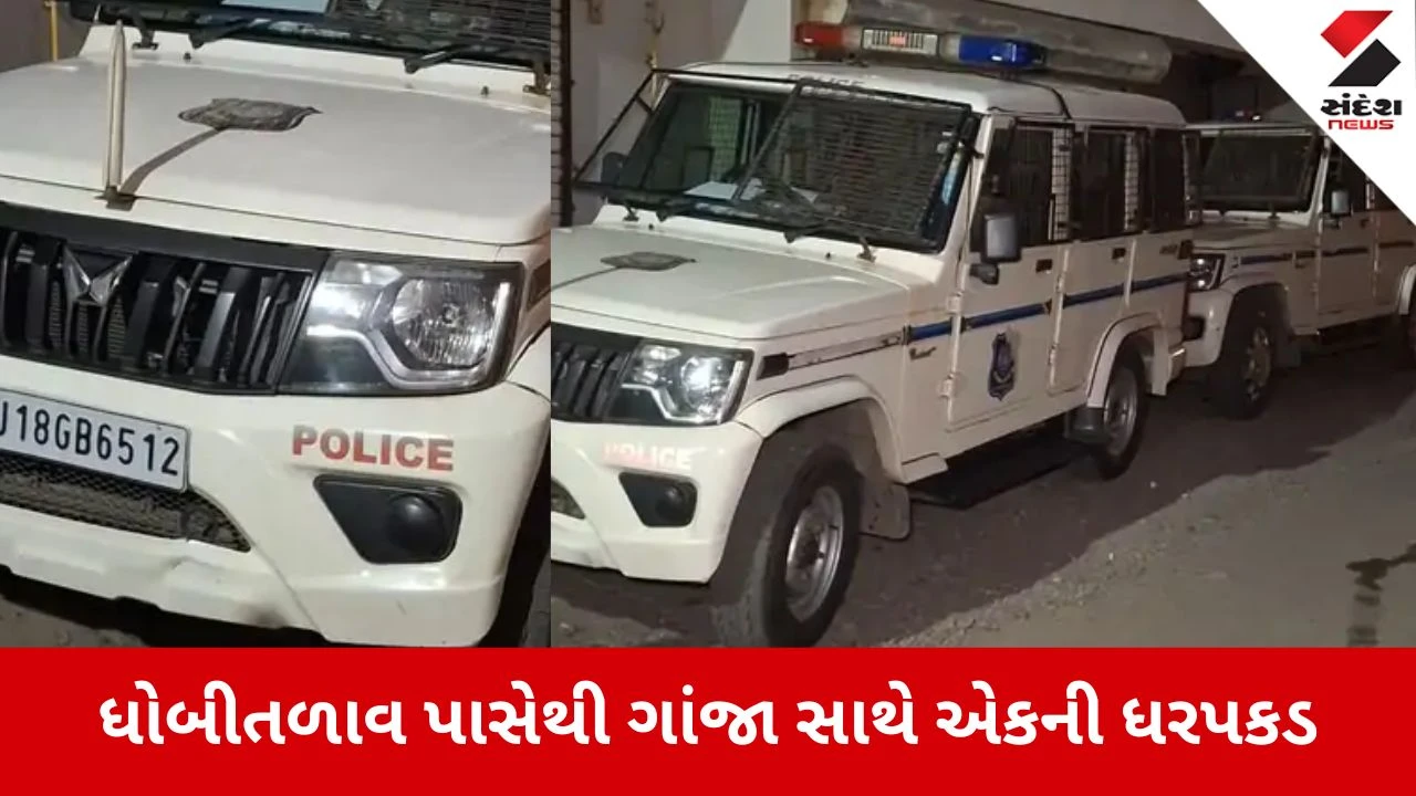 Valsad: SOGએ ગાંજાનો જથ્થો ઝડપ્યો, પોલીસ અધિક્ષકની સૂચના બાદ ડ્રગ્સ માફિયાઓ પર કડક કાર્યવાહી 