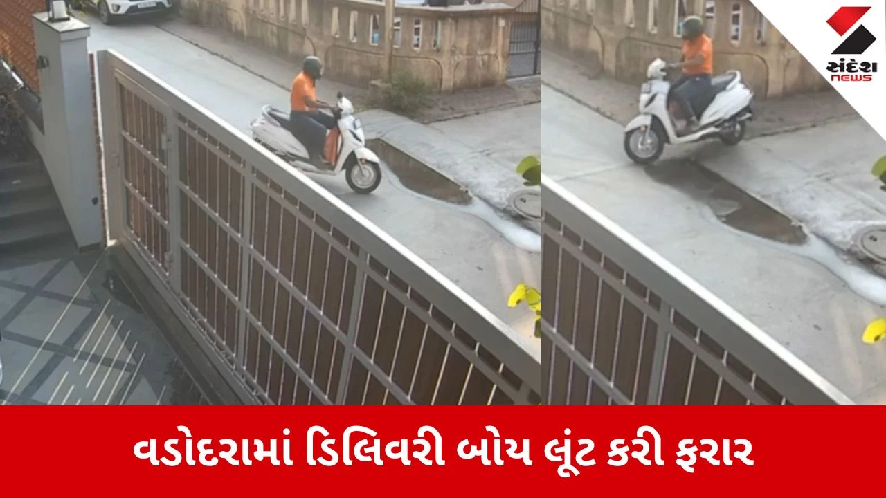 Vadodara: ડિલિવરી બોય બનીને આવ્યો અને સોનાની ચેઇન ઝૂંટવી ગયો, પાર્સલ ખોલ્યું તો અંદરથી નીકળ્યું બુંદીનું પેકેટ! 