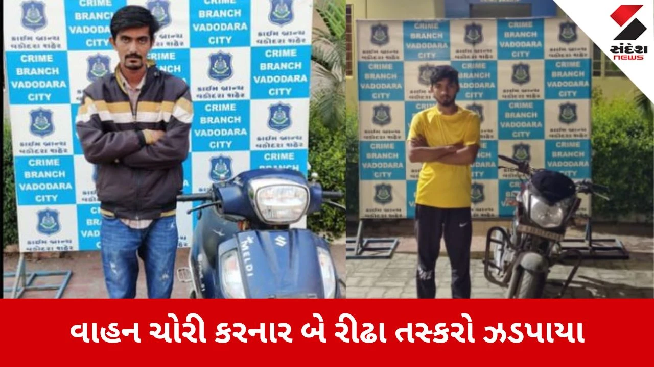 Vadodara News: વાહન ચોરી કરનાર બે રીઢા તસ્કરો ઝડપાયા 