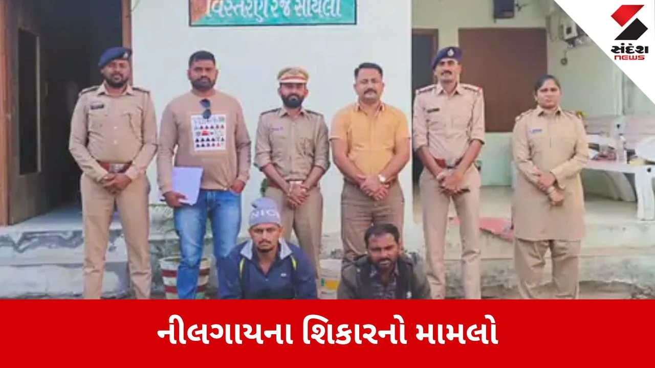 Surendranagar: નીલગાયનો શિકાર કરી માંસ વેચતી ટોળકી પર ત્રાટકી વન વિભાગની ટીમ, બે શિકારી ઝડપાયા 