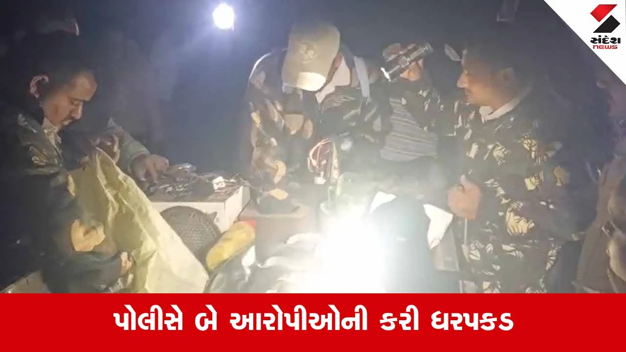 Unaના ચીખલીમાં રાષ્ટ્રીય પક્ષી મોરનો શિકાર: ચોરીના આરોપીઓને પકડાતા ભાંડો ફૂટ્યો 