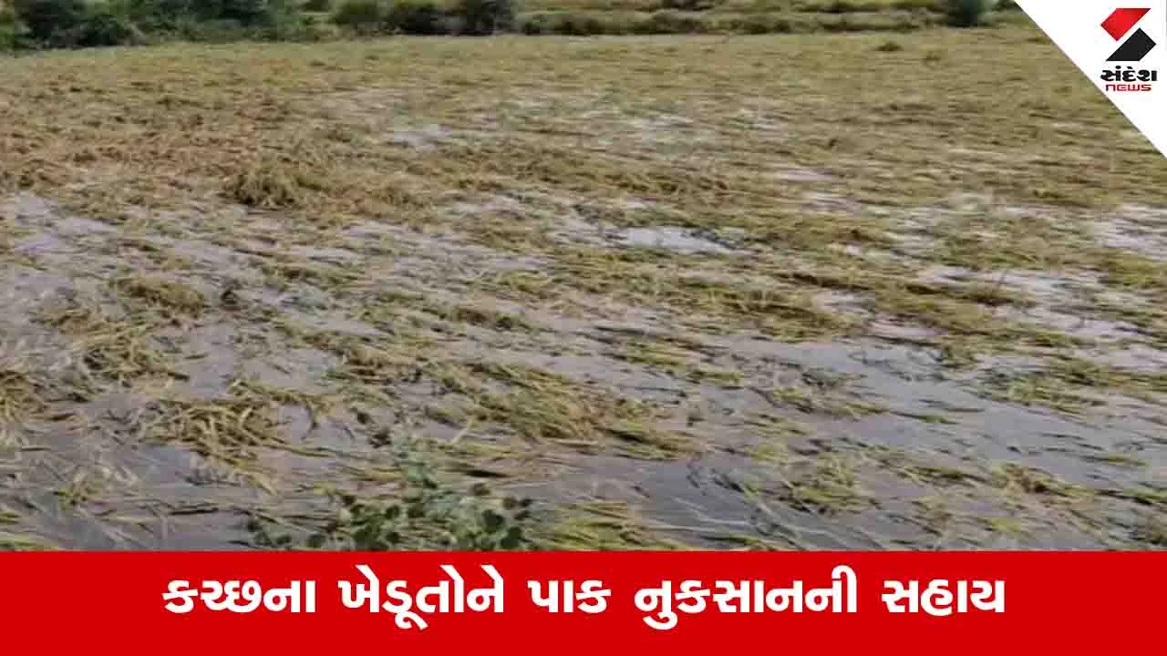 Kachchh: જિલ્લામાં 76 હજારથી વધુ ખેડૂતોને 244 કરોડની સહાય ચૂકવાઈ 