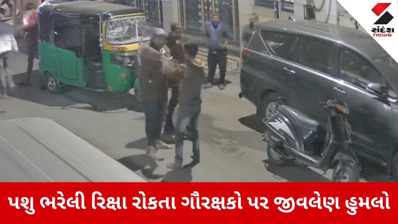 Rajkot news: પશુ ભરેલી રિક્ષા રોકતા ગૌરક્ષકો પર હુમલો 