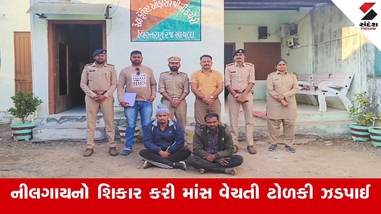 નીલ ગાયનો શિકાર કરતી ટોળકી ઝડપાઈ