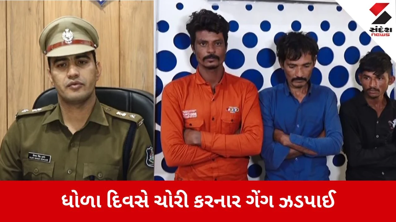 Rajkot: સૌરાષ્ટ્રમાં ધોળા દિવસે ચોરી કરનાર ગેંગ ઝડપાઈ, રૂરલ LCBએ 3 શખ્સોને દબોચ્યા 