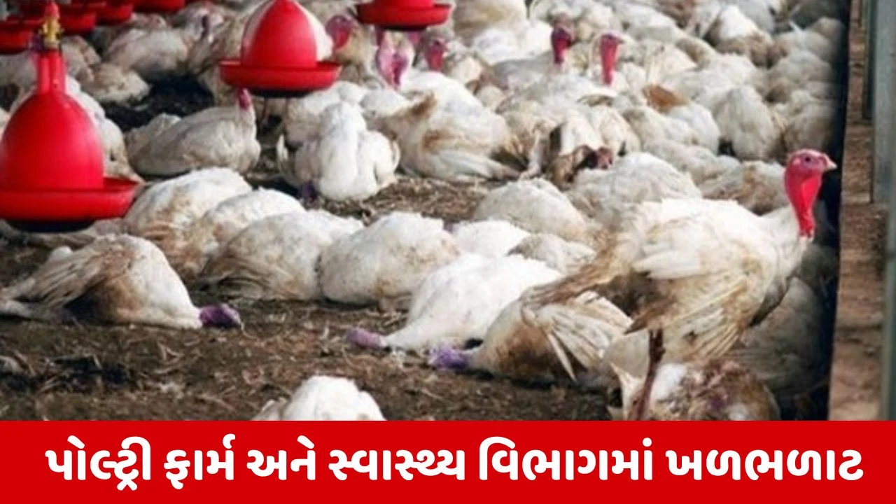 Kerala : બર્ડ ફ્લૂનો કહેર, H5N1ના 11 કેસ સામે આવ્યા 
