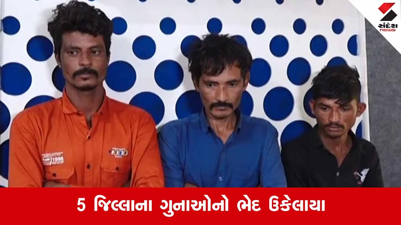 Rajkotમાં વિંછીયા પોલીસે ઘરફોડ ચોરી કરતી આંતરજિલ્લા ગેંગને ઝડપી પાડી 