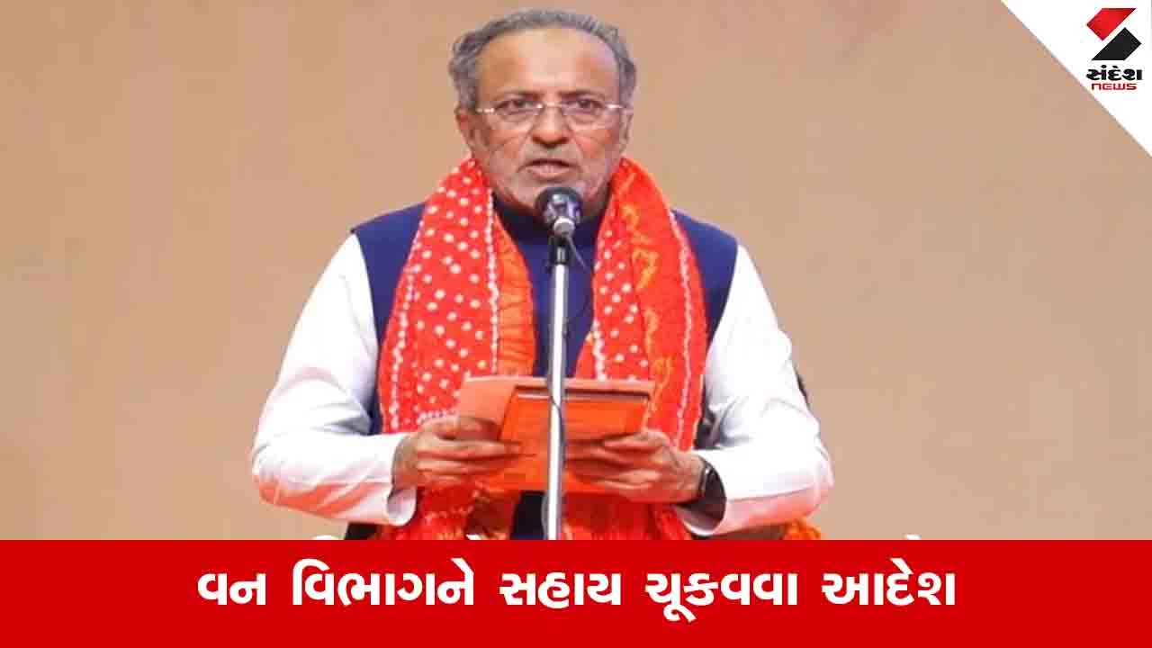 Junagadh: સિંહણને પકડવા જતા મૃત્યુ પામેલા વન કર્મીના પરિવારને તાત્કાલિક સહાય ચૂકવવા આદેશ 
