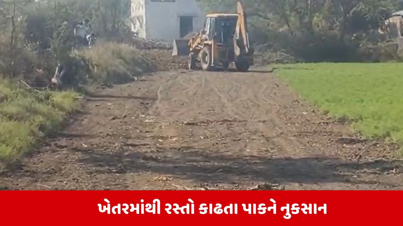Rajkot: વિન્ડફાર્મ કંપનીઓની દાદાગીરી આવી સામે, ખેતરોમાંથી મંજૂરી વગર બારોબાર કાઢ્યો રસ્તો 