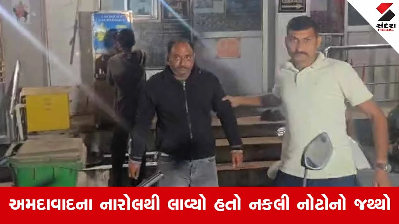 Bhavnagar News: 200ના દરની 343 નકલી નોટો સાથે એક શખ્સ ઝડપાયો 