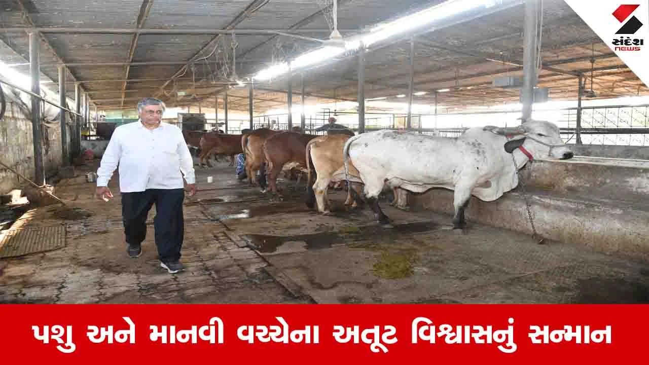 Agriculture News: શોખથી શરુ થયેલી ગૌ સેવાએ સાંતેજના મહેન્દ્રભાઈને શ્રેષ્ઠ પશુપાલકનું સન્માન અપાવ્યું 
