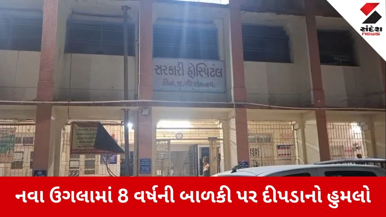 Gir Somnath News: ભાણેજ પર દીપડાનો હુમલો, મામાએ બચાવી 