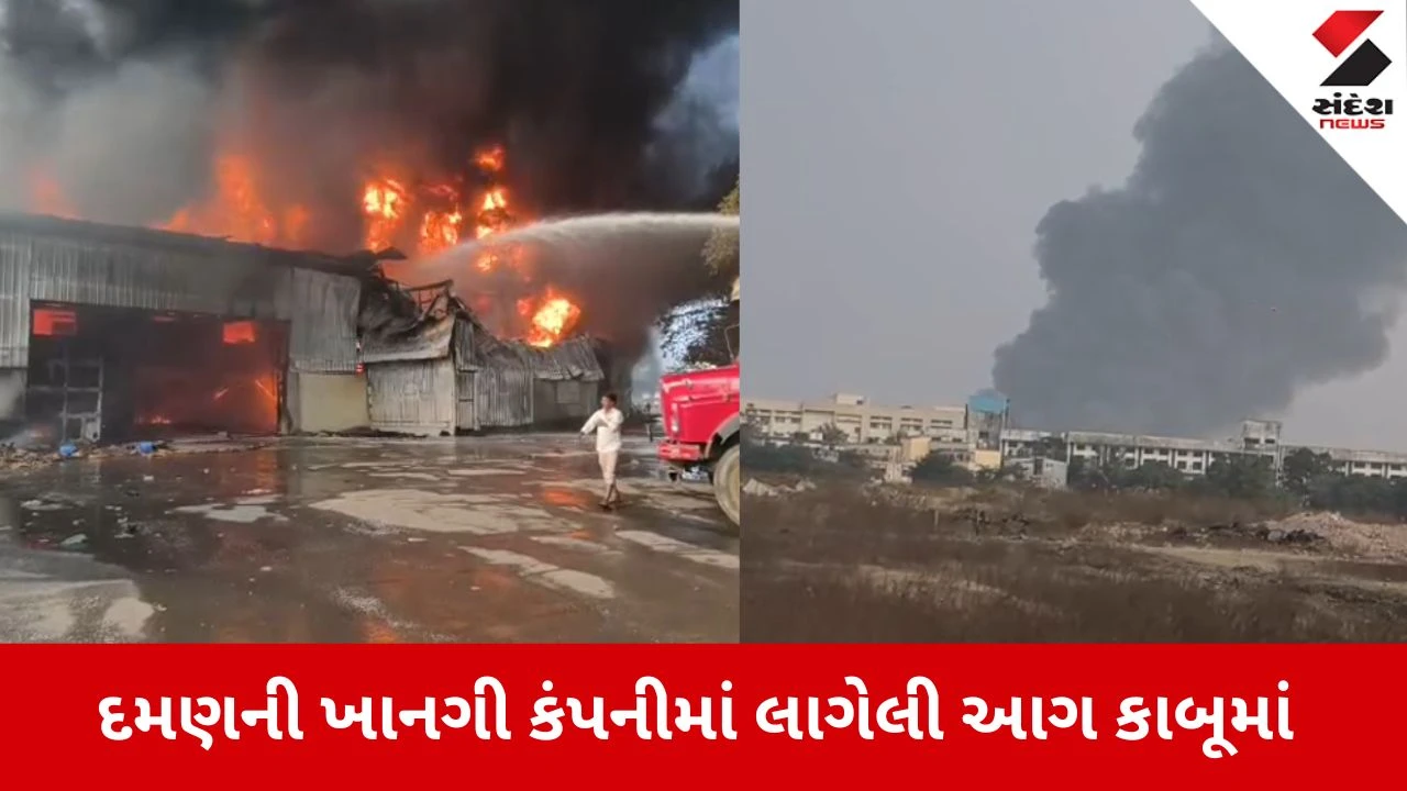 Daman: ખાનગી કંપનીમાં લાગેલી આગે વિકરાળ સ્વરૂપ ધારણ કર્યું, 15થી વધુ ફાયર ફાઈટરોની મદદથી મેળવાયો કાબૂ 