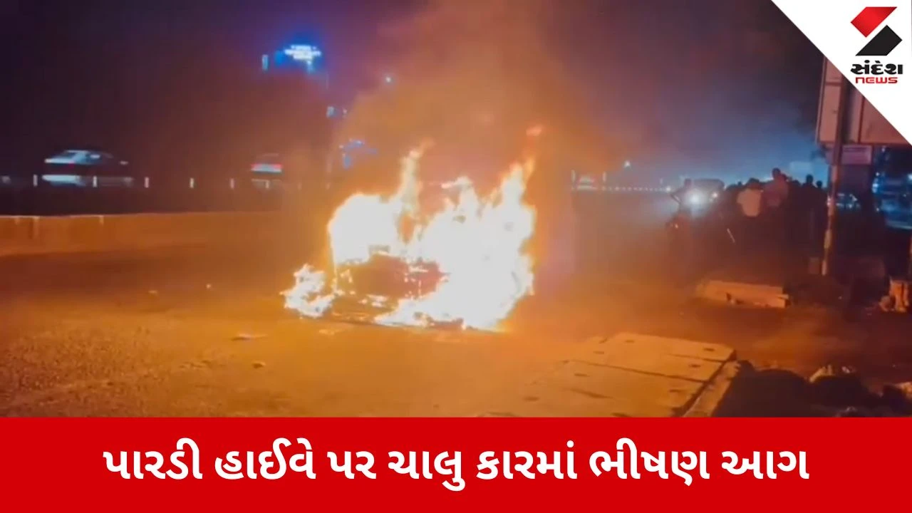 Valsad News: પારડી હાઈવે પર ચાલુ કારમાં ભીષણ આગ 