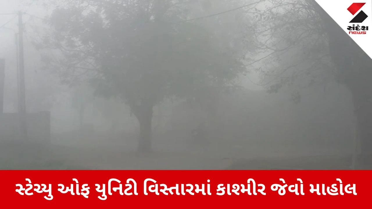 Narmada News: SOU વિસ્તારમાં કાશ્મીર જેવો માહોલ 