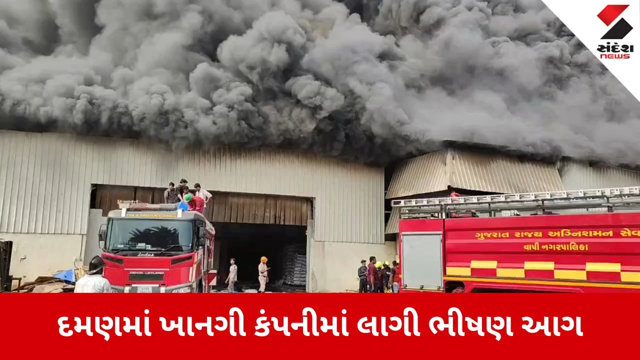 Daman News: એસ.પેકેજિંગ કંપનીમાં ભીષણ આગ, 8 ફાયર ટીમ ઘટના સ્થળે 