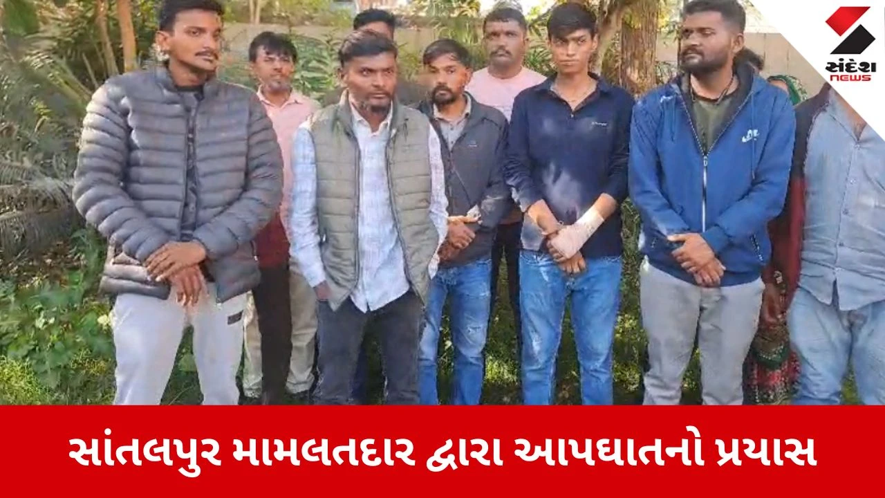 Palanpur: સાંતલપુર મામલતદાર આત્મહત્યા પ્રયાસ મામલો, પિતાને 4 વર્ષથી ટોર્ચર કરી પૈસા મંગાતા હતા – પુત્રનો ગંભીર આક્ષેપ 