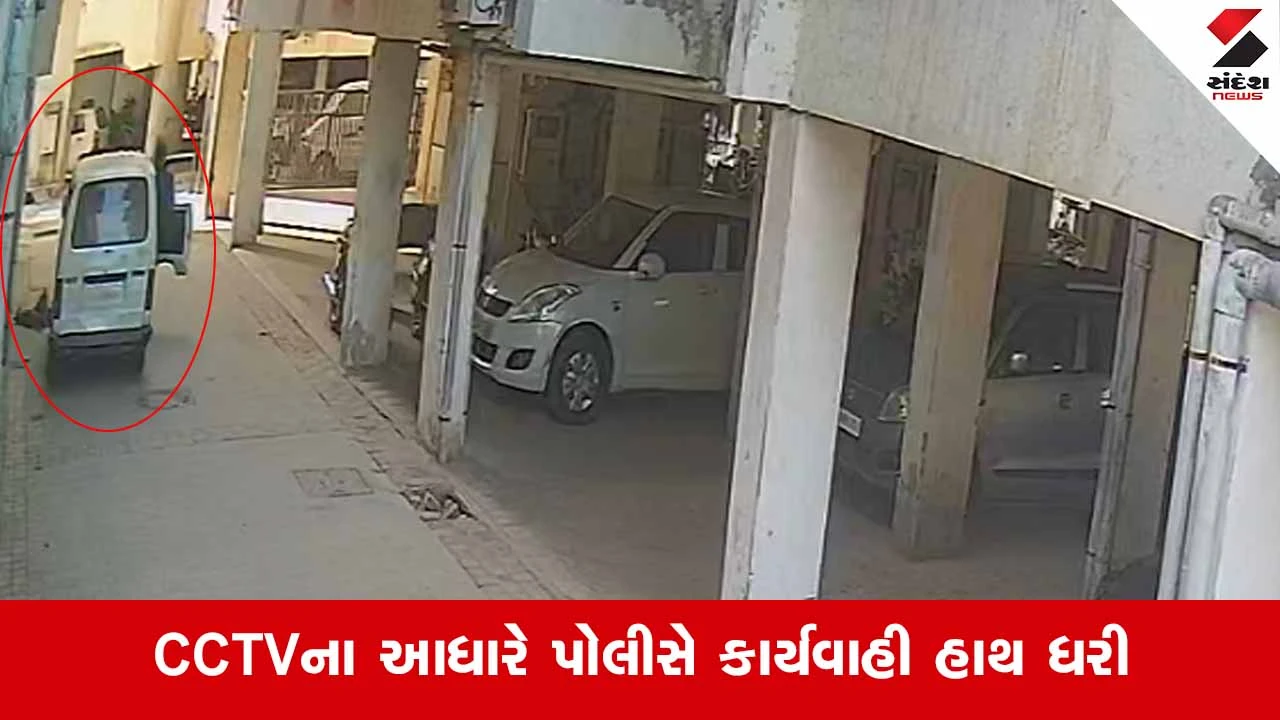 Ahmedabadના રાણીપમાં વાહનચાલકની ક્રૂરતા, પાર્કિંગમાં સૂતેલા ગલુડિયા પર ગાડી ફેરવી દીધી 