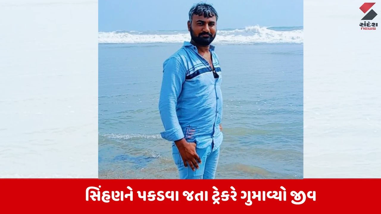 unagadhમાં સિંહણને પકડવા જતા ટ્રેકરે ગુમાવ્યો જીવ,  ટ્રાન્ક્યુલાઈઝર ગનનો ડોઝ સિંહણની જગ્યાએ ટ્રેકરને લાગ્યો 