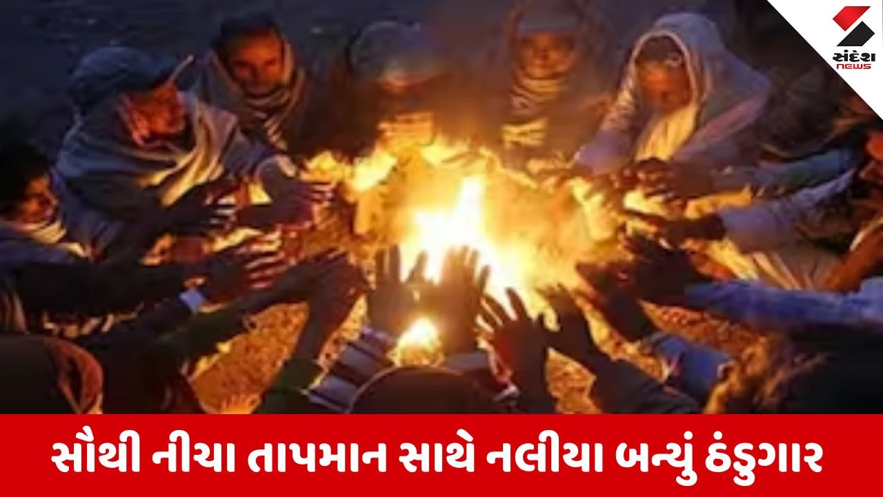 Gujarat weather : રાજ્યભરમાં ઠંડીનો ચમકારો, નલીયામાં સૌથી ઓછું 7 ડિગ્રી તાપમાન 