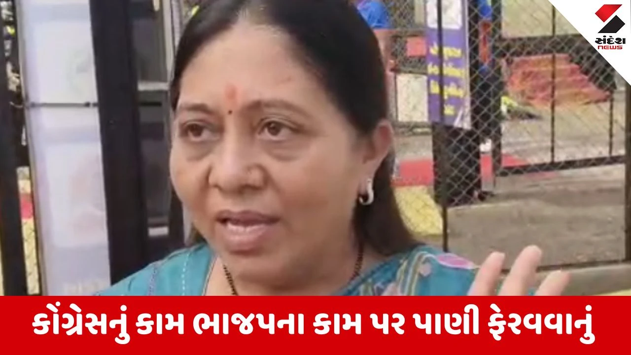 Gandhinagar માં વધતા ટાઈફોઈડના કેસો વચ્ચે મેયર બેફિકર, ભાવનગર ક્રિકેટ રમવા પહોંચ્યા તો કમિશનરે ઉડાઉ જવાબ આપ્યો 