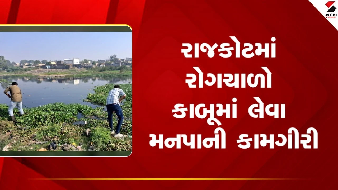 Rajkot: રોગચાળો કાબુમાં લેવા મનપાની ટીમો કામે લાગી 