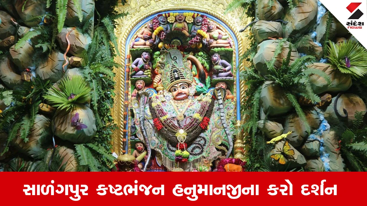 દર્શન માત્રથી ભક્તોના દૂર કરે કષ્ટ, સાળંગપુર કષ્ટભંજન દાદાના દિવ્ય દર્શન, જુઓ Video 