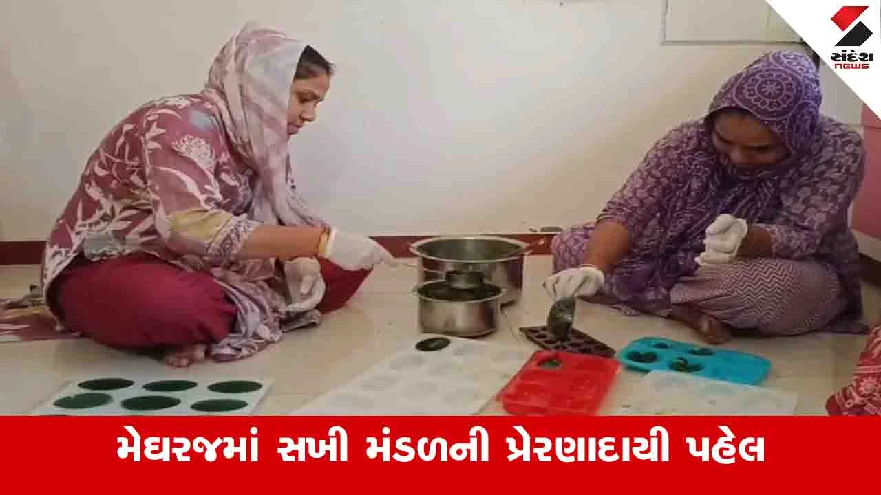 Aravalli: નેચરલ સાબુ બનાવી 30થી વધુ બહેનો બની આત્મનિર્ભર, 50 હજારની લોન લઈ વ્યવસાય શરૂ કર્યો 