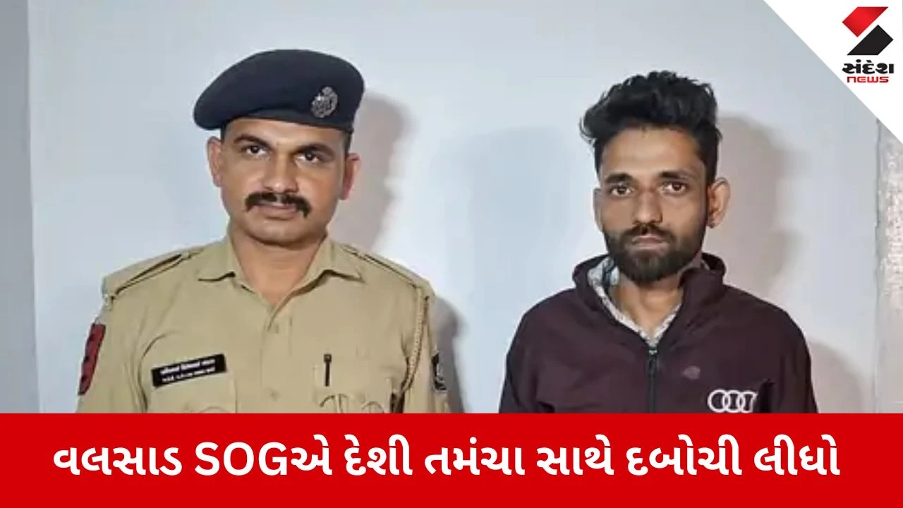 Valsad:  ભીલાડ હાઇવે પરથી દેશી તમંચા સાથે એક શખ્સ ઝડપાયો, SOGની ટીમે બાતમીના આધારે દબોચ્યો 