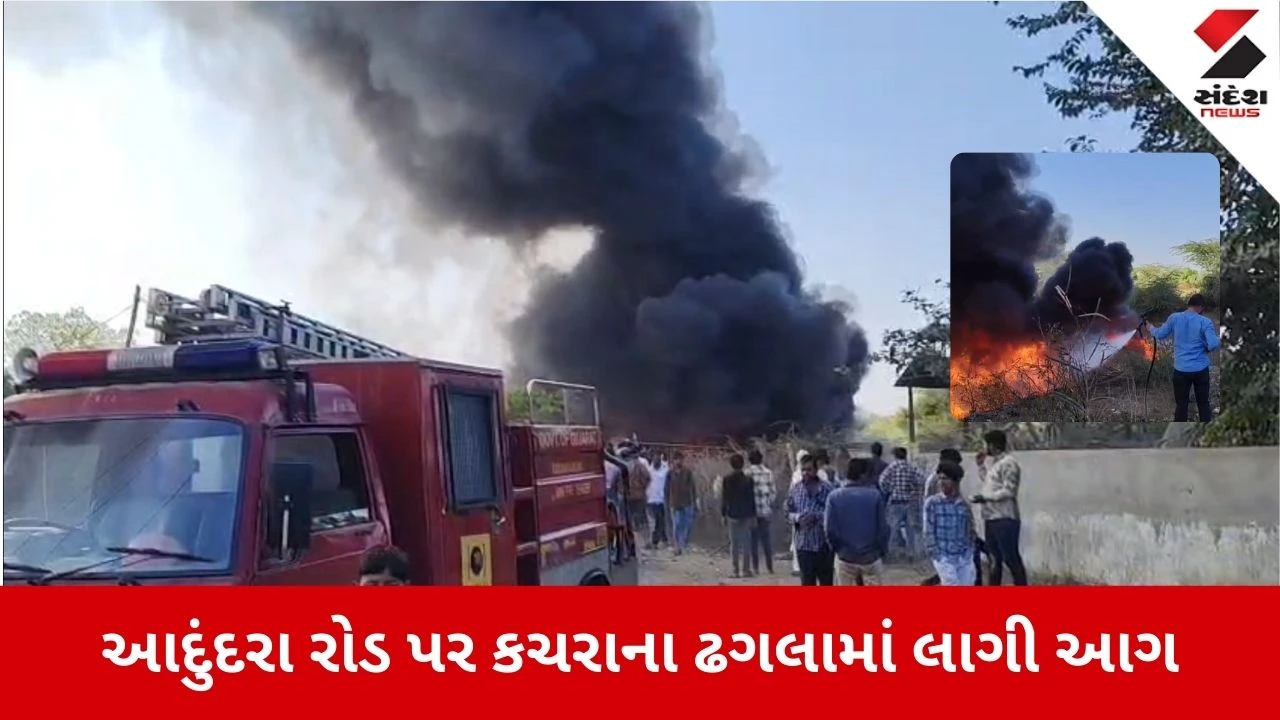 Mehsana News: કચરાના ઢગલામાં લાગી આગ, અફરાતફરી 